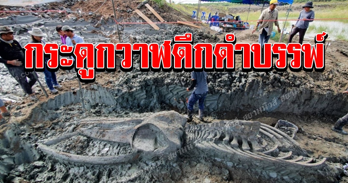 รมว.ทส. ลงพื้นที่ติดตามการสำรวจขุดค้นโครงกระดูกวาฬดึกดำบรรพ์ 2000 ถึง 5000 ปี