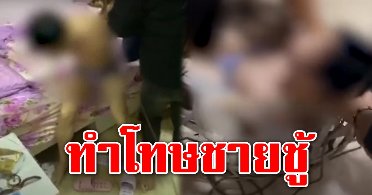 ลงโทษหนุ่มคบซ้อน ใส่กรงหมู