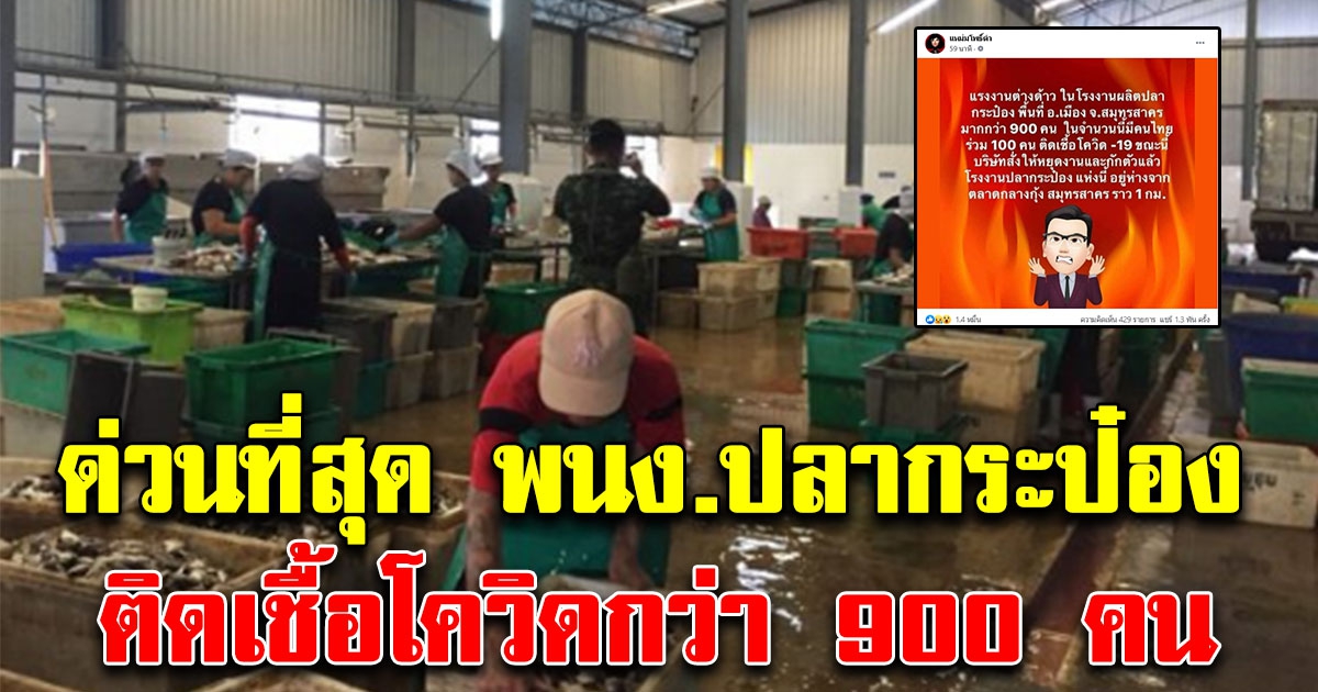ด่วนที่สุด พนักงานโรงงานปลากระป๋องชื่อดัง ติด CV-19 รวม 900 คน