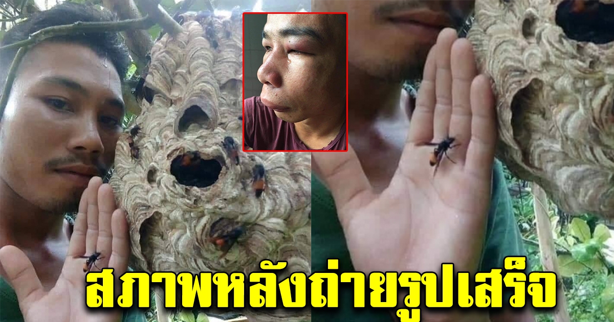 หนุ่มถ่ายรูปใกล้กับรังต่อ
