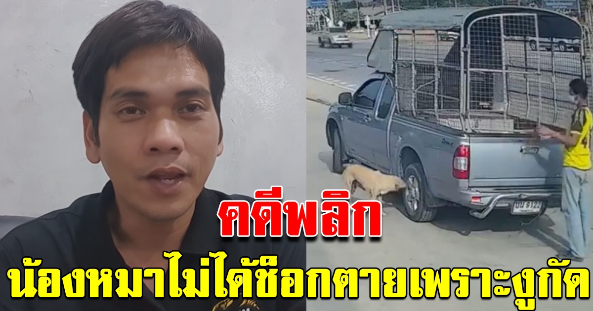 คดีพลิก ผู้เชี่ยวชาญงู เผยน้องหมาไม่ได้สิ้นลม เพราะถูกงูกัด