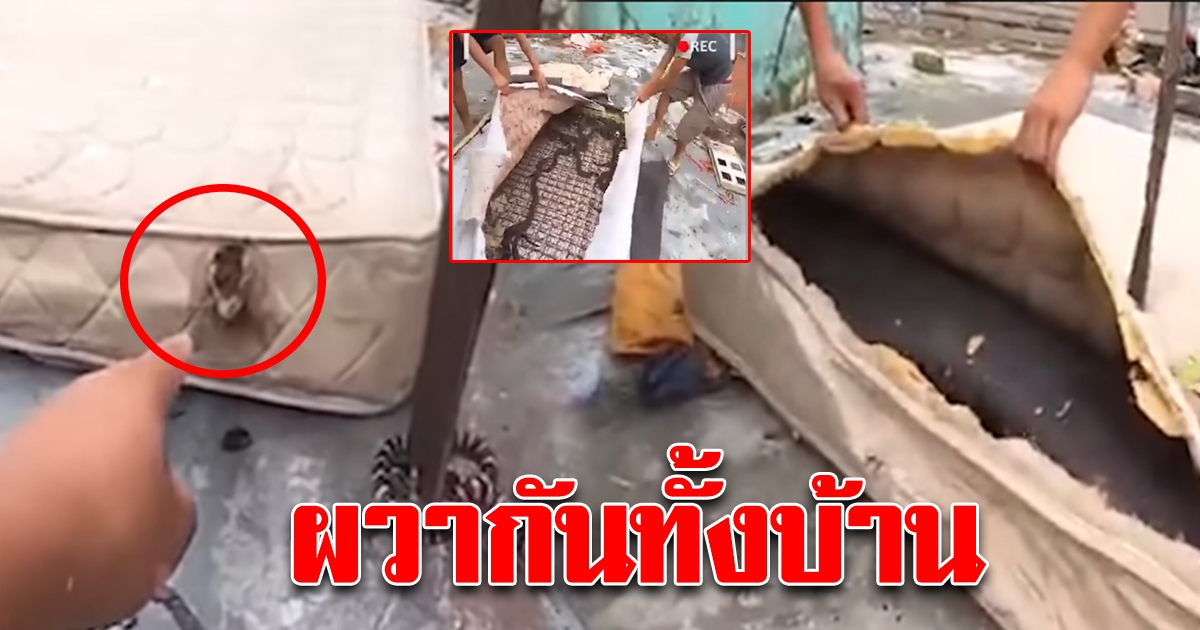 หนุ่มมาย้ายของที่บ้านเก่า ได้ยินเสียงแปลกๆในที่นอนเก่า