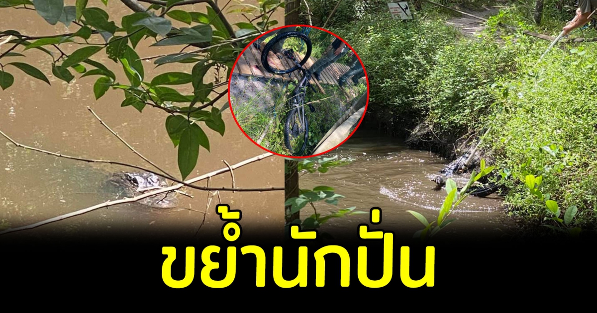 นักปั่นรถล้ม-ตกน้ำ เจอจระเข้พุ่งขย้ำทันที