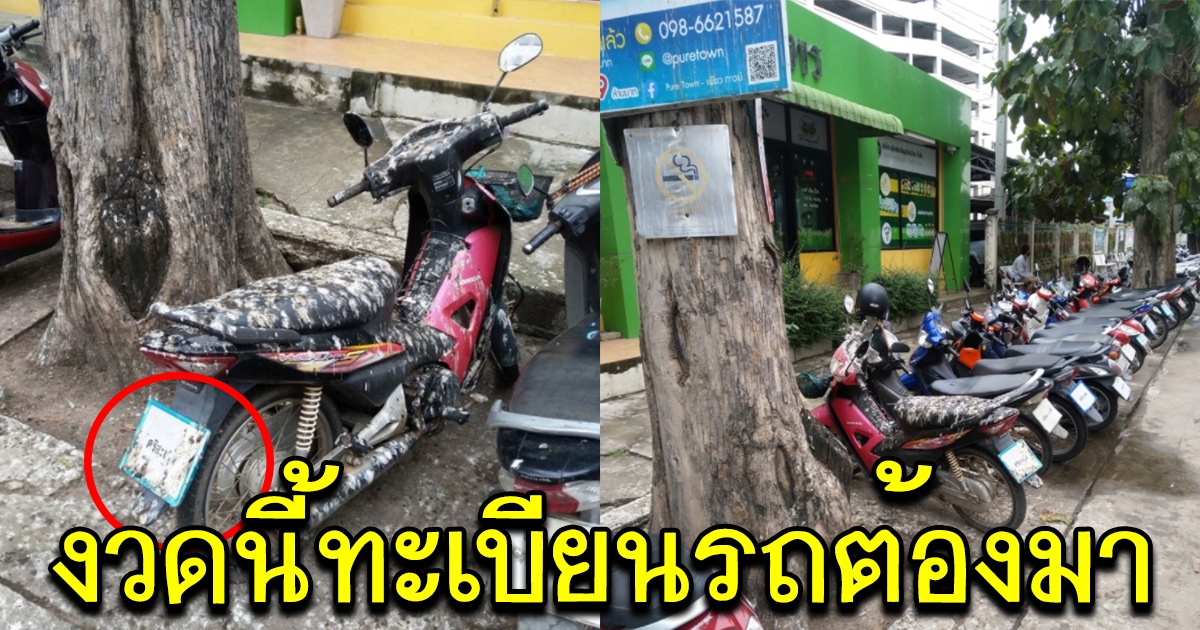 เจ้าของรถแทบทรุด มาโรงพยาบาล จอดรถไว้ค้างคืน กระทั่งกลับมาเอารถ