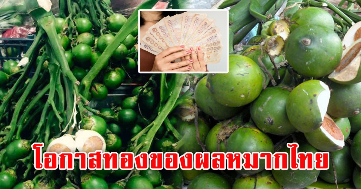 ต่างชาติแห่ซื้อผลหมาก ส่งออกพุ่งเฉียด 5,000 ล้าน