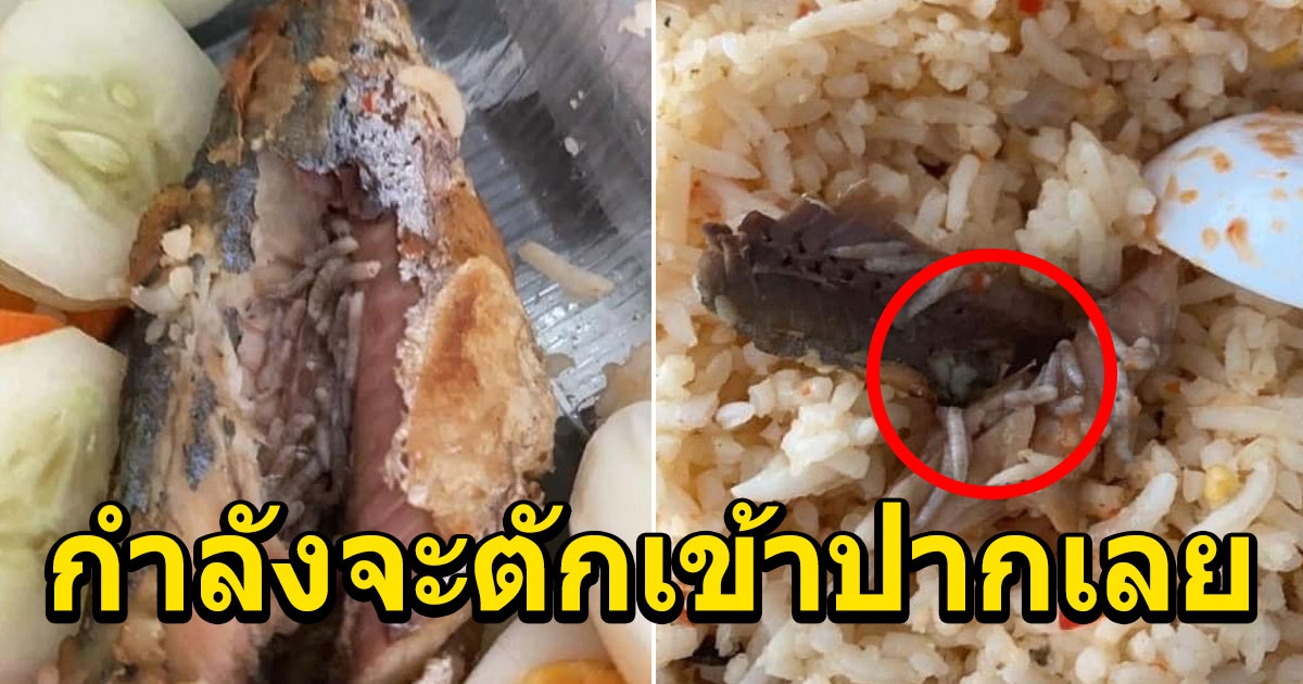 หนุ่มซื้อข้าวน้ำพริกปลาทูหวังกินแซ่บๆ