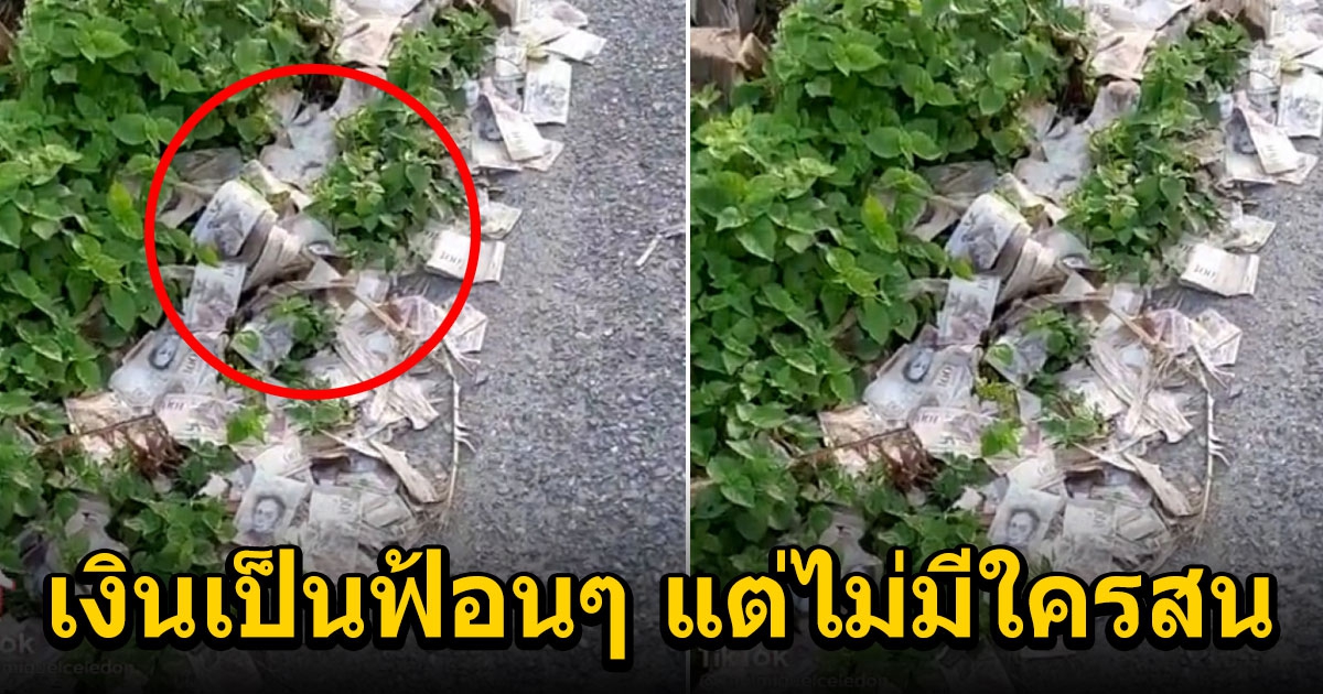 คลิปกองเงินปึกใหญ่ ๆ  ถูกทิ้งข้างทาง แต่ไร้คนสนใจเก็บ