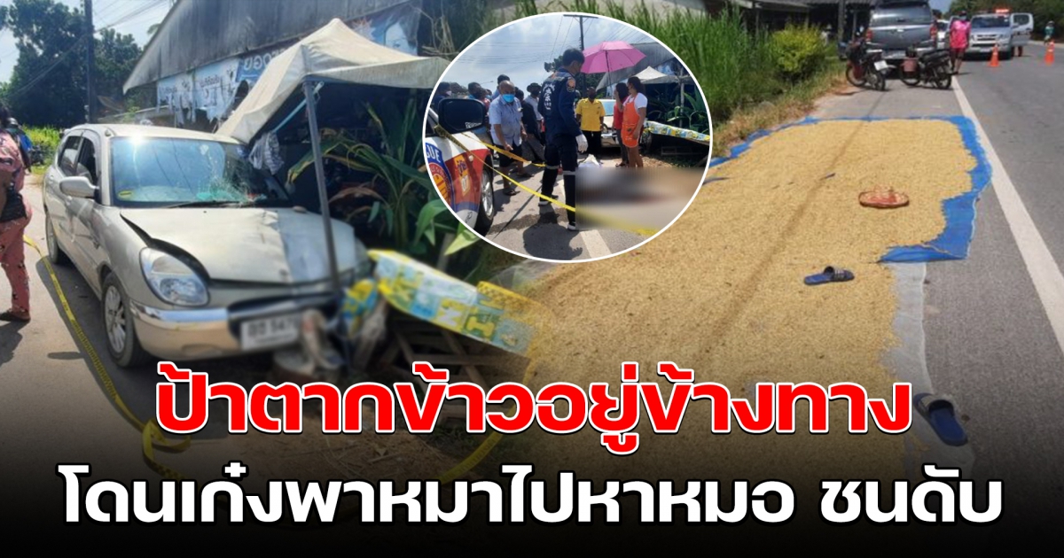 ป้า วัย 66 ตากข้าวอยู่ริมทาง โดนเก๋งพาหมาไปหาหมอ ชนดับ