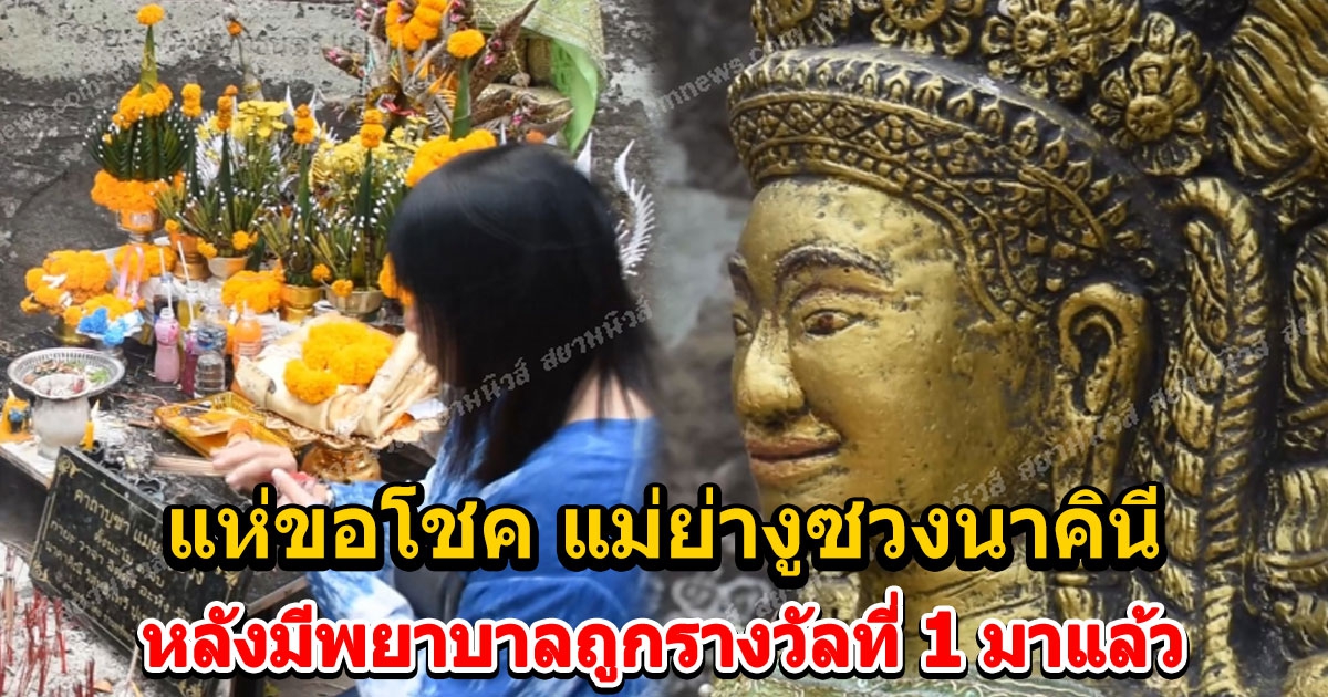 คอเลขกราบไหว้ขอโชค แม่ย่างูซวงนาคินี หลังมีพยาบาลถูกรางวัลที่ 1 มาแล้ว