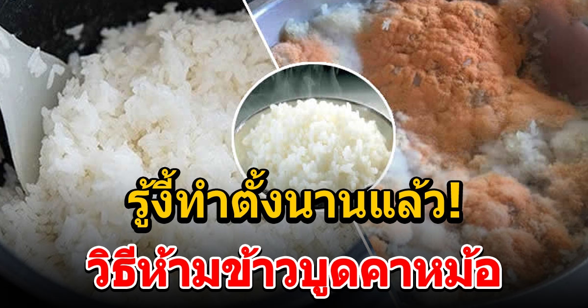 3 วิธีแก้ ข้าวบูดในหม้อ บูดเร็ว ไมถึงวัน