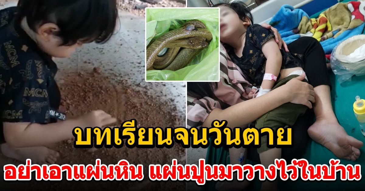 ใจพ่อจะขาด เตือนอย่าวางแผ่นปูนในบ้าน หลังลูกชายโดนงูเห่าฉกจนโคม่า