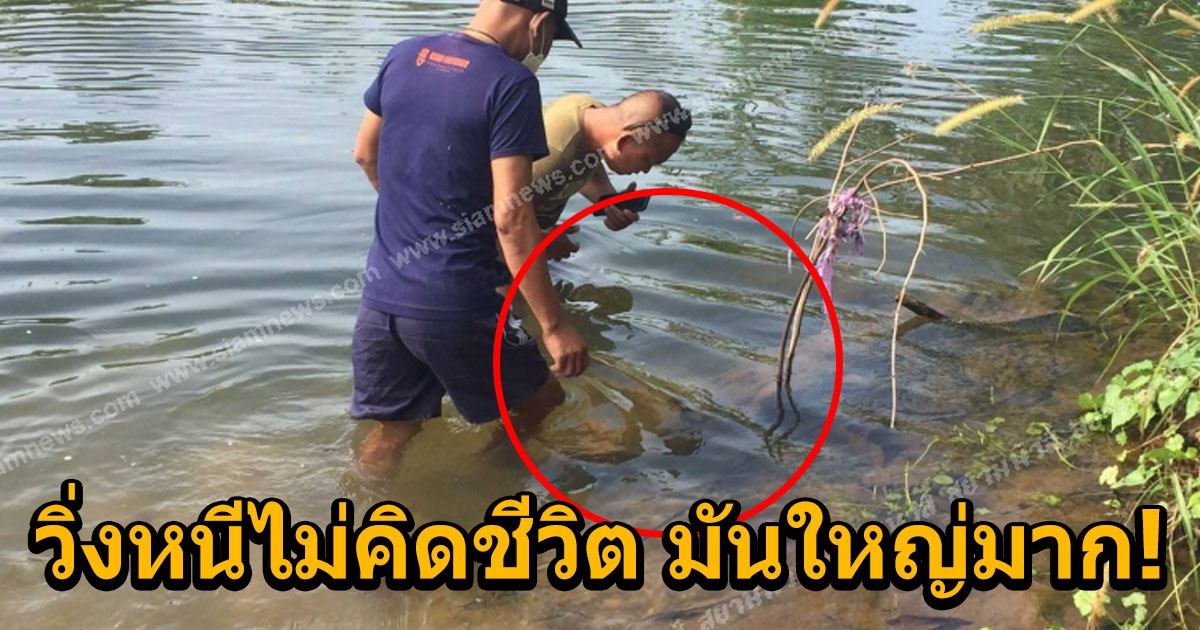 ชาวบ้านลงหาปลาในคลอง เจอของใหญ่โผล่