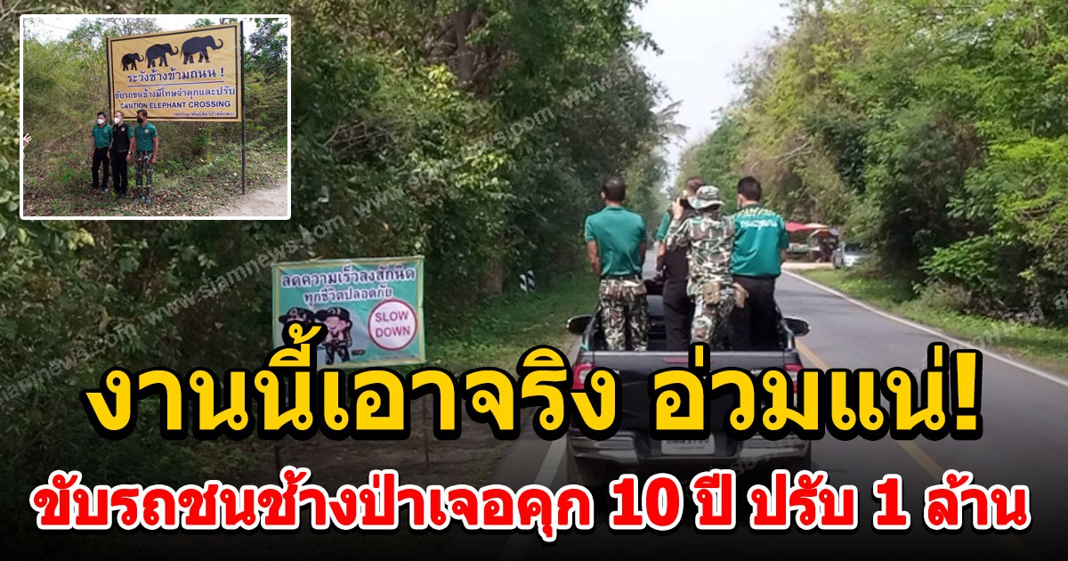เอาจริงงานนี้อ่วมแน่ กรมอุทยานฯติดป้ายเตือน ขับรถชนช้างป่าเจอคุก 10 ปี ปรับ 1 ล้าน