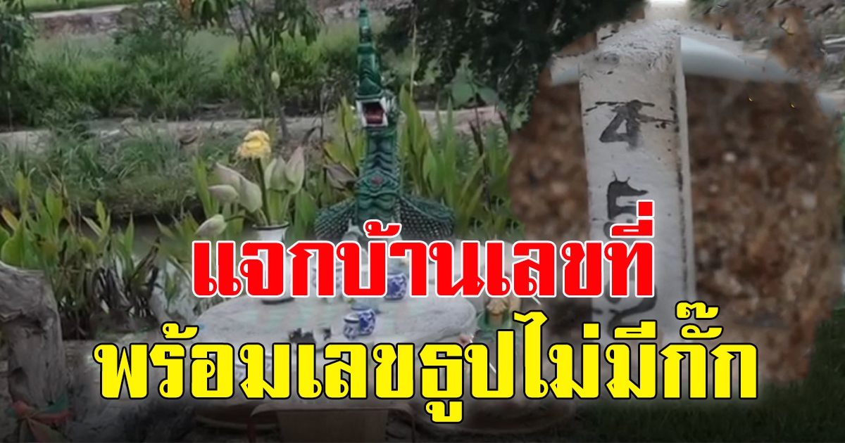 เจ้าของบ้านฝันเห็น พญานาค เลื้อยรอบบ้าน
