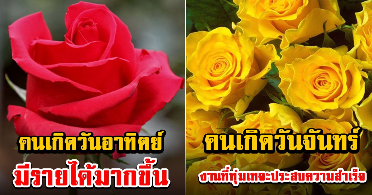 ดูดวงประจำวันที่ 24 เมษายน 2565