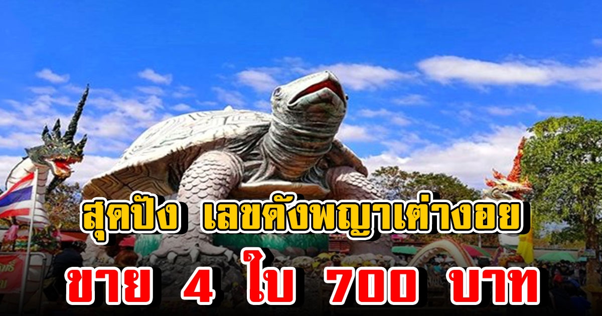 เลขดังพญาเต่างอย แผงลอตเตอรี่ ขาย 4 ใบ 700