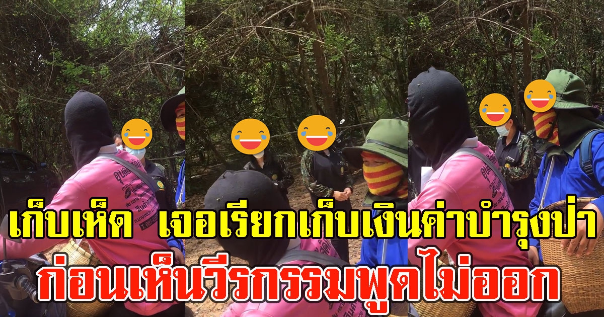 ชาวบ้านโอด ไปเก็บเห็ด เจอเรียกเก็บเงินค่าบำรุงป่า ก่อนเห็นวีรกรรม