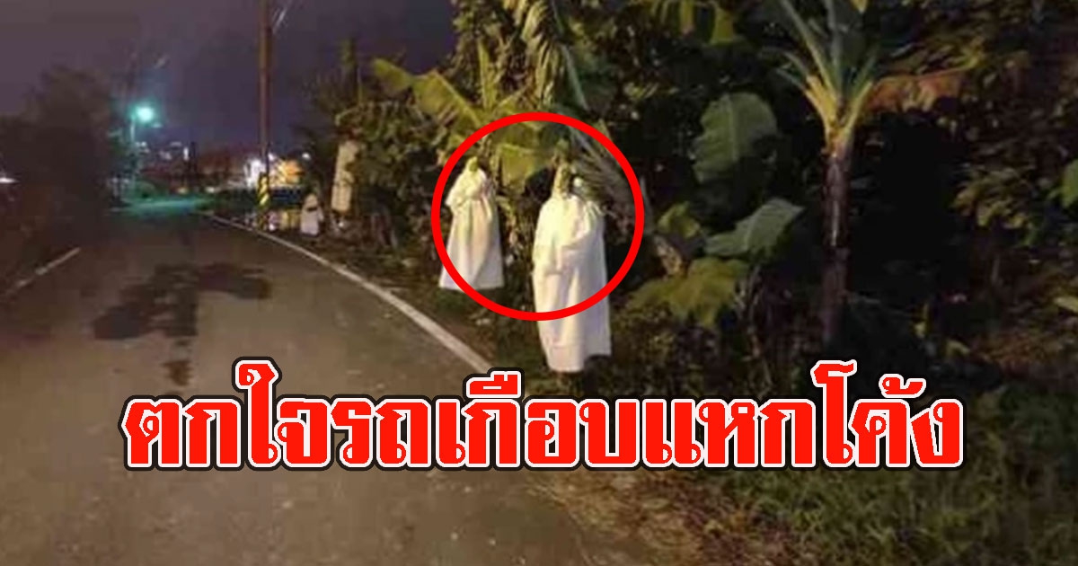 ชาวบ้านแทบไม่กล้าผ่าน หลังเจอสวนกล้วยริมถนน