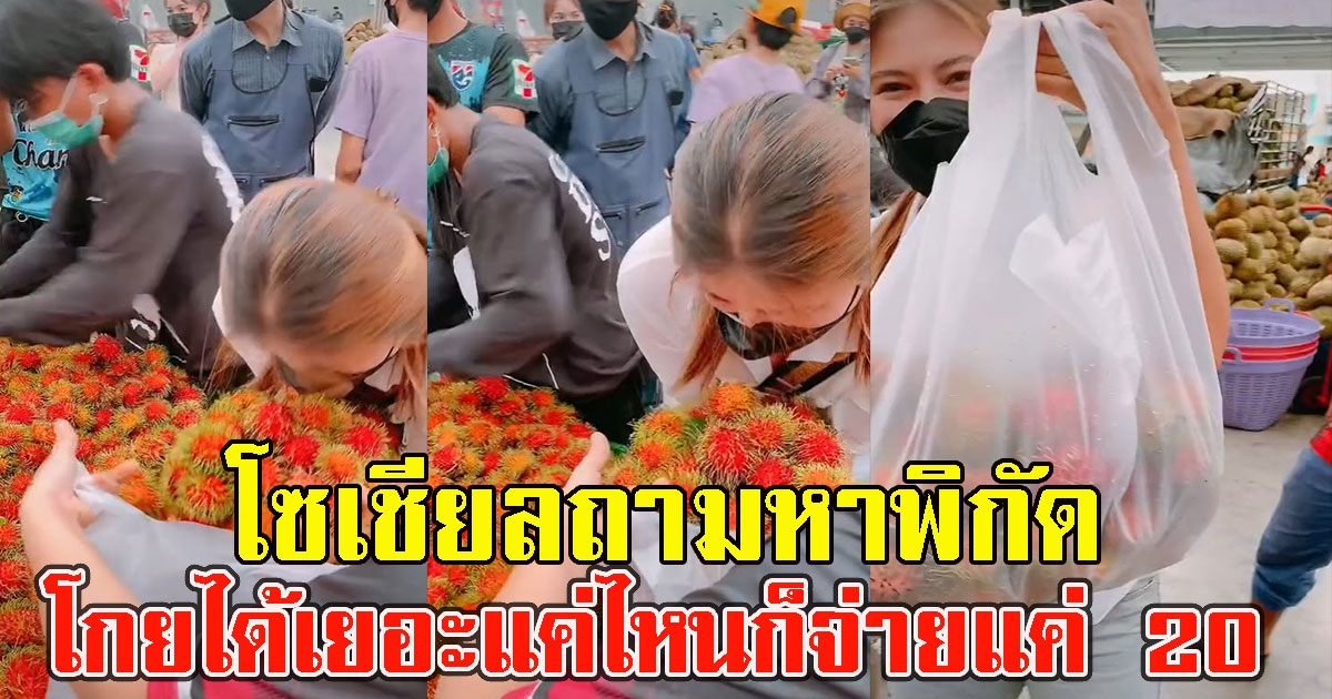 เงาะโกย โกยได้เยอะแค่ไหนก็จ่ายแค่ 20 โซเชียลถามหาพิกัด