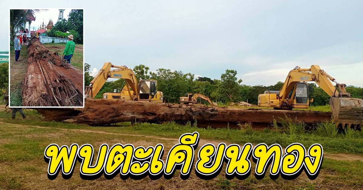 ชาวบ้านหาดลี่อัญเชิญตะเคียนทองขึ้นจากลำน้ำยมไปไว้บนวัด