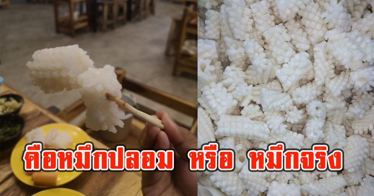 โซเชียลถาม ปลาหมึกบั้งสีขาว ที่อยู่ตามร้านหมูกระทะ คือหมึกปลอม หรือ หมึกจริง