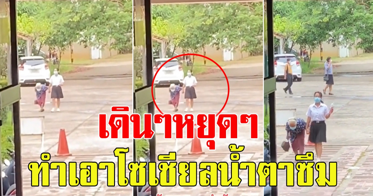 หลานเดินจูงยาย เข้ามหาลัย
