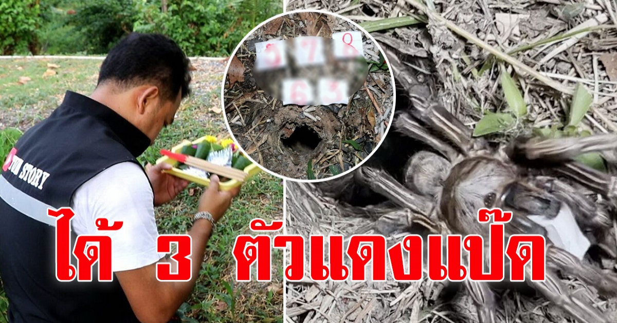 มาแล้ว เลขพญาบึ้ง นั่งรอลุ้นตั้งแต่เช้ายันค่ำ ได้ 2 ตัว 3 ตัว