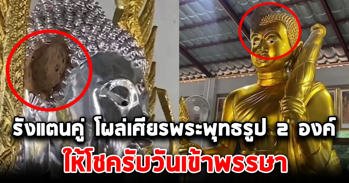 เลขรังแตนคู่ โผล่เศียรพระพุทธรูป 2 องค์ รับเข้าพรรษา