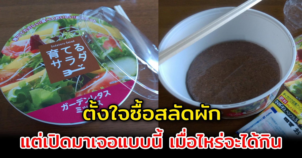 ทำเอาเงิบ ตั้งใจซื้อสลัดผัก แต่เปิดมาสุดงง แบบนี้เมื่อไหร่จะได้กิน