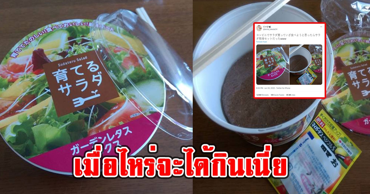 เข้าร้านสะดวกซื้อหยิบสลัดผัก แต่เปิดมาพูดไม่ออก