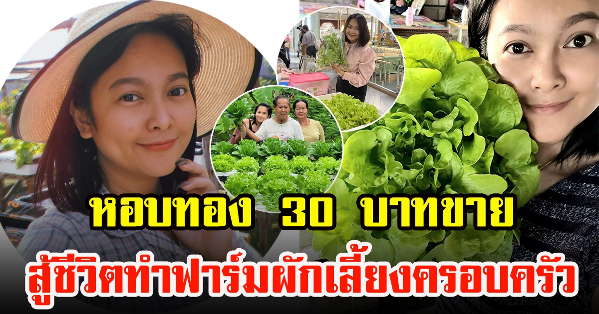 แมงปอ ชลธิชา หอบทอง 30 บ. หันหน้าทำฟาร์มผักเลี้ยงครอบครัว