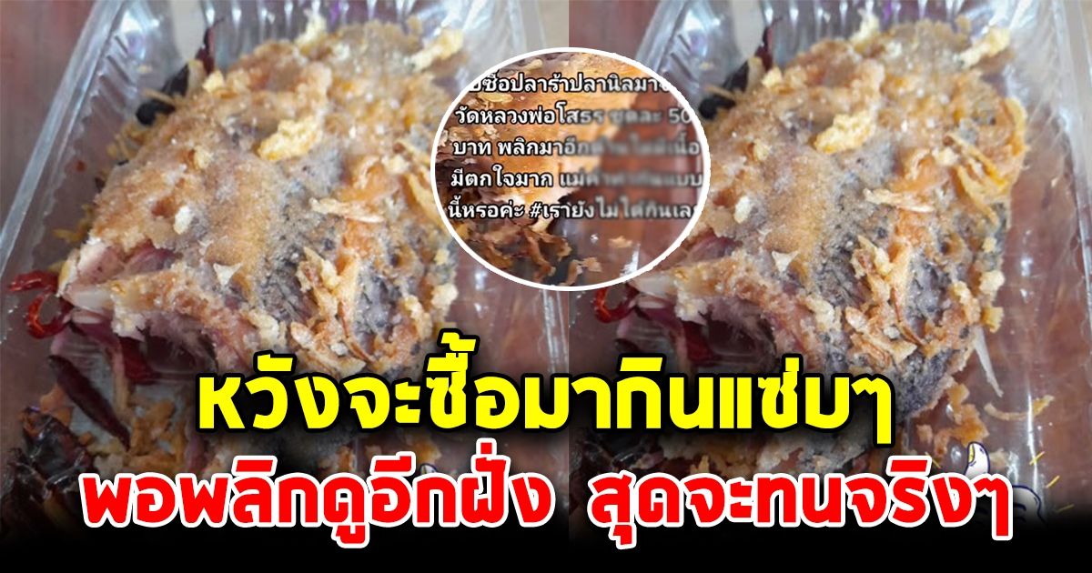 สาวไปซื้อปลานิลทอด หวังมากินแซ่บๆ เห็นตัวใหญ่ดี กลับมาถึงบ้าน พลิกดูอีกฝั่ง เจอกับตัวเข้าให้แล้ว