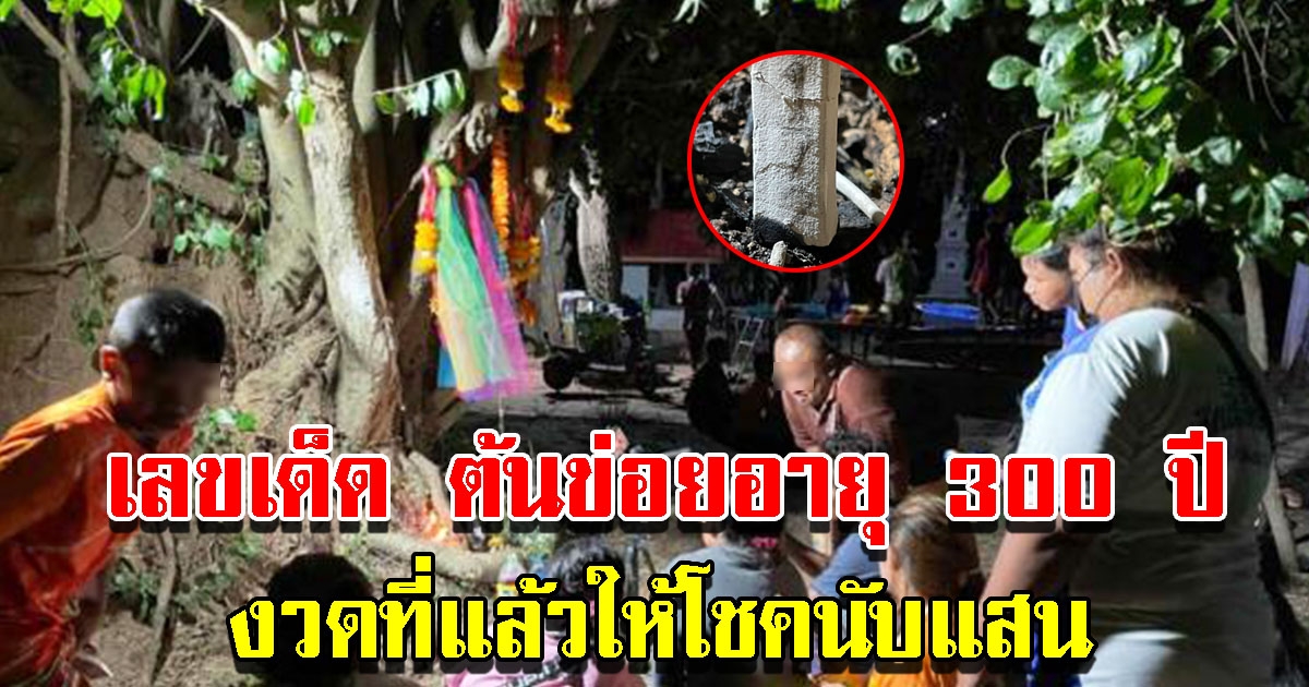 เลขต้นข่อยโบราณอายุกว่า 300 ปี รอบที่แล้วให้ถูกนับแสน