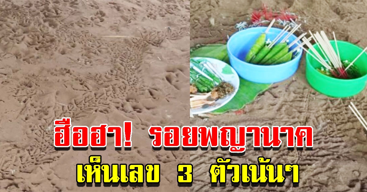 รอยคล้ายพญานาค โผล่ใต้ถุนบ้าน เห็นเลข 3 ตัวเน้นๆ