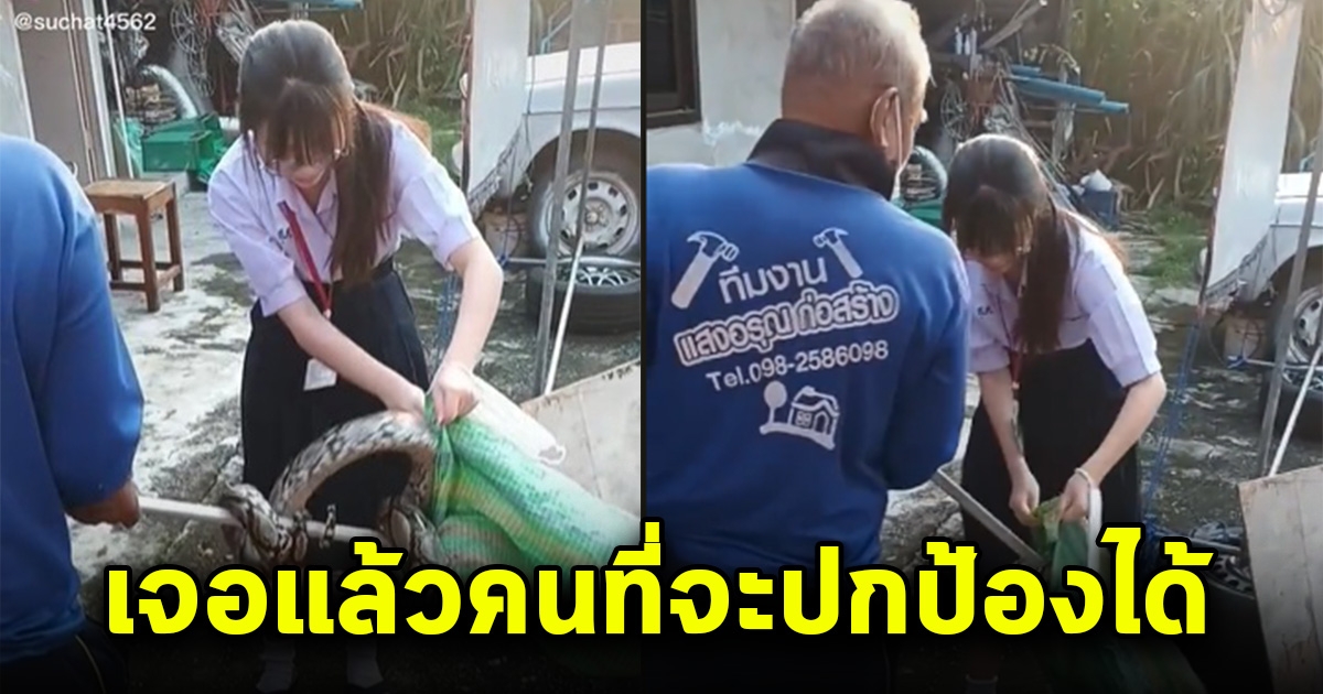 วินาที นักเรียนสาว ใช้มือเปล่าช่วยจับงูเหลือม ชาวเน็ตแซว เจอแล้วคนที่จะปกป้องได้