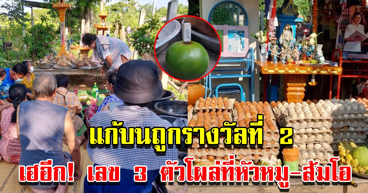 สาวใหญ่แก้บน หลังถูกรางวัลที่ 2 เลข 3 ตัวโผล่ที่หมู-ส้มโอ