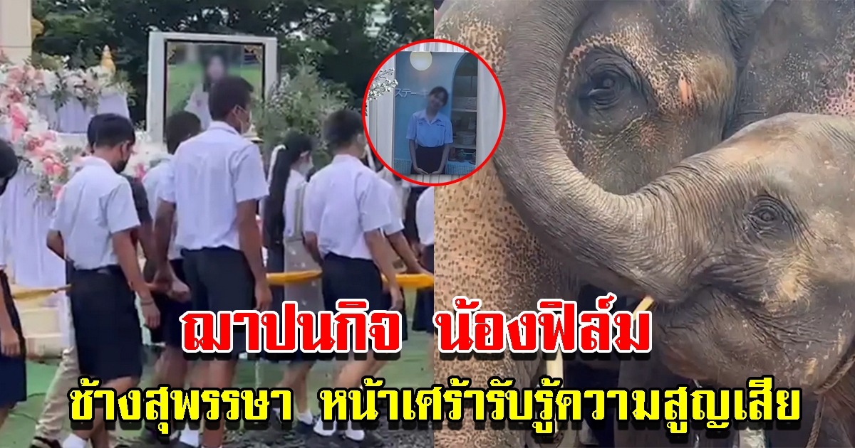 ฌาปนกิจน้องฟิล์ม นักเรียน ม.6 ดับในป่าข้างโรงเรียน ช้างสุพรรษา หน้าเศร้ารับรู้ความสูญเสีย