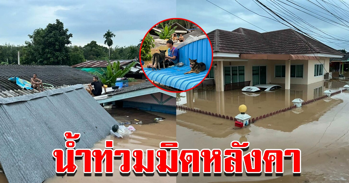 น้ำหลากท่วมบ้านจม ต้องหอบชีวิตขึ้นหลังคา จนท.เร่งย้ายผู้ประสบภัย