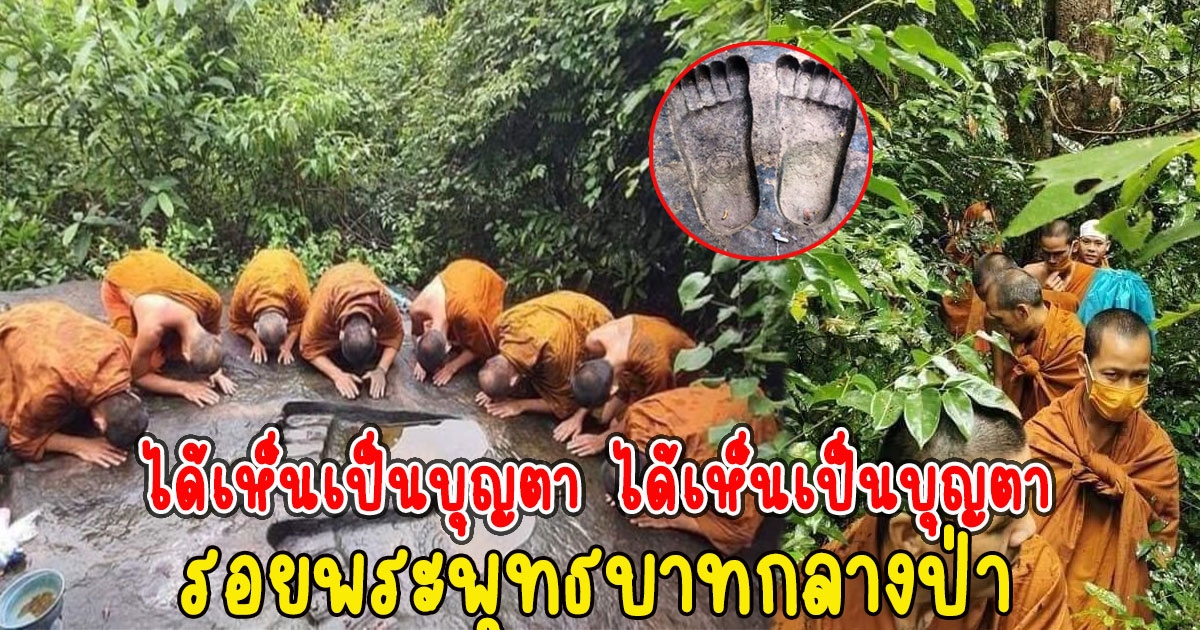 ได้เห็นเป็นบุญตา พระสงฆ์ขึ้นไปกราบนมัสการ รอยพระพุทธบาทกลางป่า