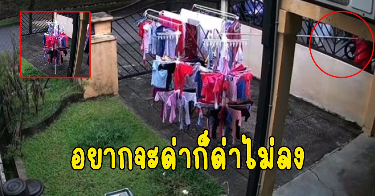 สาวเห็น เพื่อนบ้านชอบยื่นไม้เข้ามาทางรั้ว ก่อนเปิดกล้องเจอความจริง