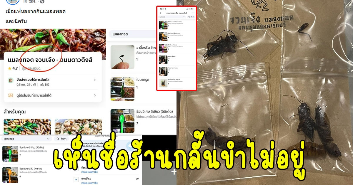 หนุ่มสั่งแมลงทอดผ่านแอปฯ ให้แฟนกิน พอเห็นชื่อร้าน กลั้นขำไม่อยู่