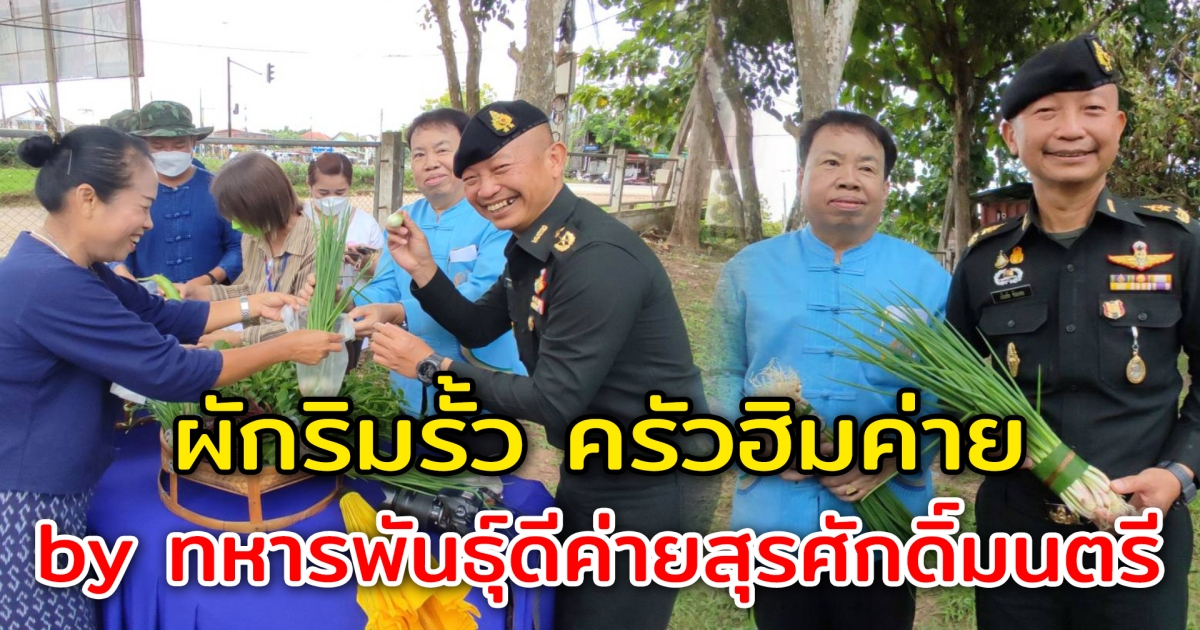 ผักริมรั้ว ครัวฮิมค่าย by ทหารพันธุ์ดีค่ายสุรศักดิ์มนตรี