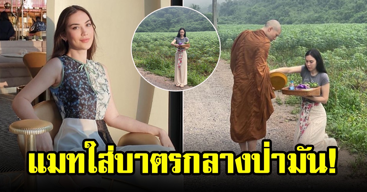 ภาพล่าสุด แมท ภีรนีย์ ใช้ชีวิตเรียบง่ายติดดิน ใส่บาตรพระกลางป่ามันสำปะหลัง