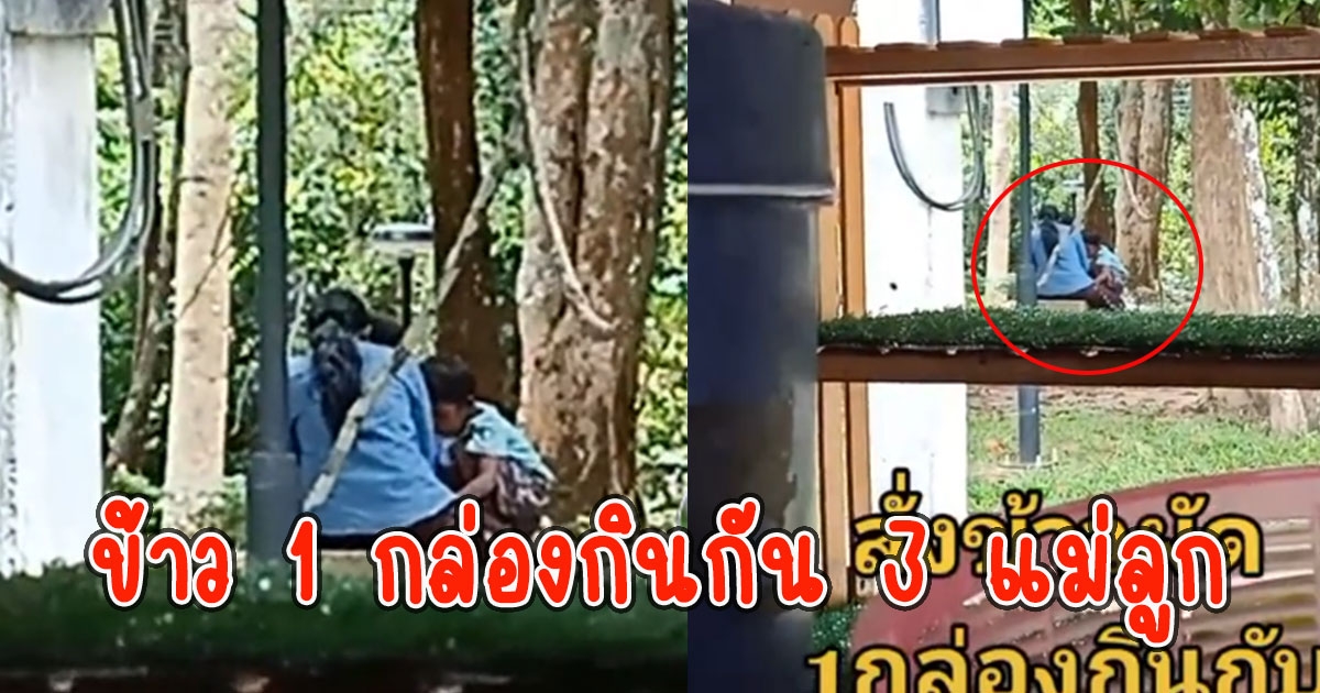 ป้ามาซื้อข้าว 1 กล่องกินกัน 3 แม่ลูก ก่อนแม่ค้าจัดเต็มให้แห่ชื่นชม