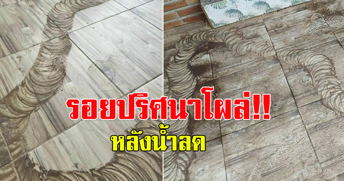 รอยยาวปริศนาโผล่บนพื้น หลังน้ำท่วมลด