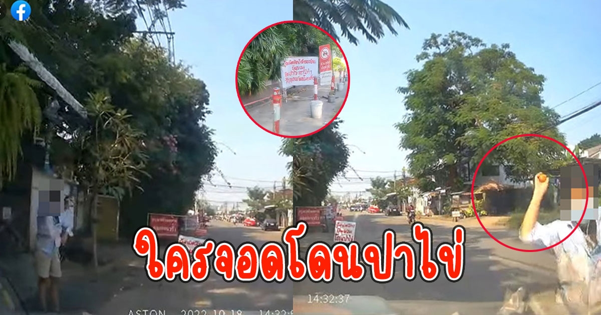 ป้าหัวร้อน ใครจอดรั้วบ้าน โดนปาไข่เดินมาปาเองเลย