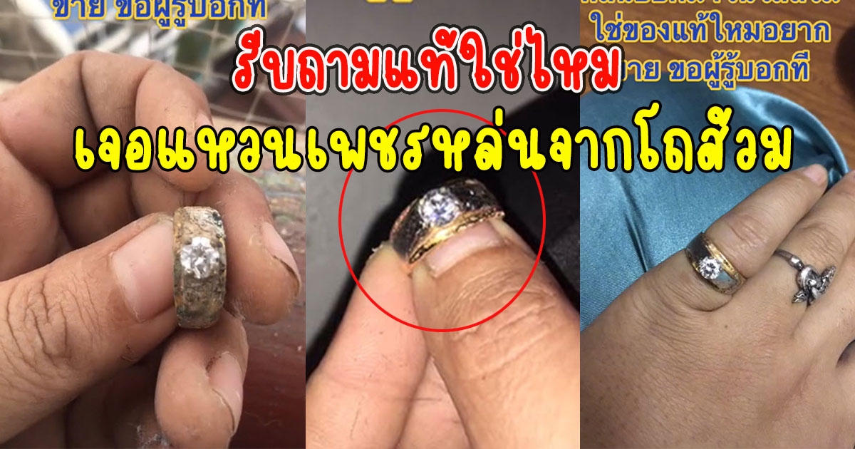 สาวรื้อถอนห้องในคอนโดหรู เจอแหวนเพชรหล่นจากโถส้วม รีบถามแท้ใช่ไหม