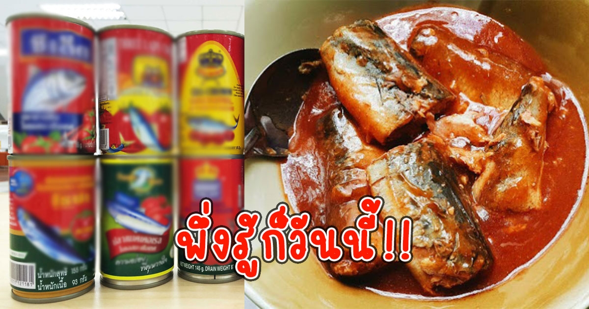 กระจ่างแล้ว ทำไมปลากระป๋องต้องใส่แต่ซอสมะเขือเทศ