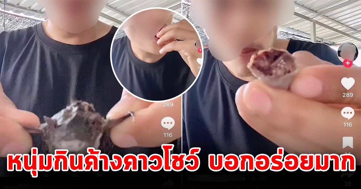 มาอีกแล้ว หนุ่มเปิปค้างคางโชว์ ลั่นคนอื่นกินอึ่ง แต่ผมกินค้างคาว