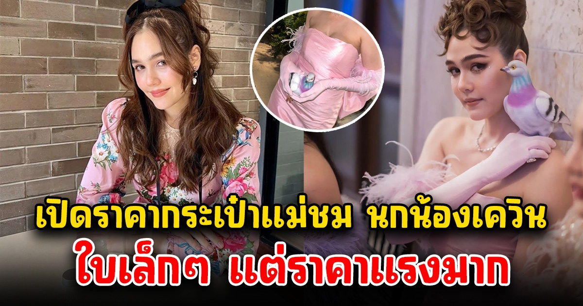 เปิดราคากระเป๋าแม่ชม นกน้องเควิน สวยจึ้งมาก